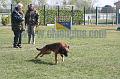Mondioring III 400